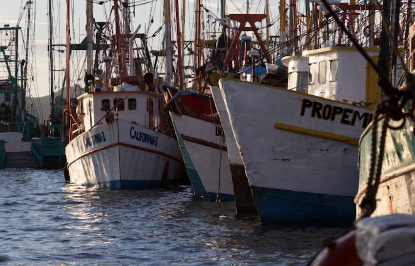 Fishing boats in Sinaloa